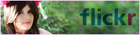 fickrbanner